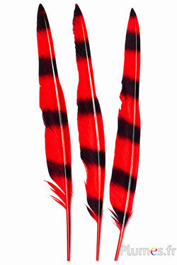 Zwaan met zwarte strepen - 28-33 cm - rood